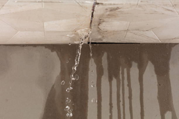 Professional Burst Pipe Cleanup technician working in Anoka, MN